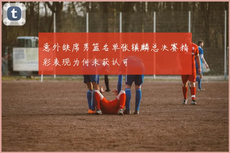 意外缺席男篮名单张镇麟总决赛精彩表现为何未获认可